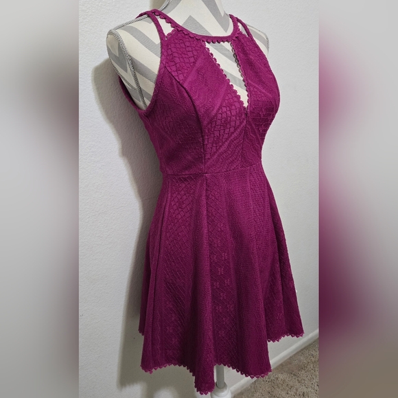 FREE PEOPLE Fit and Flare Lace Skater Dress Magenta Missed Connections Sz 2 - Picture 4 of 16